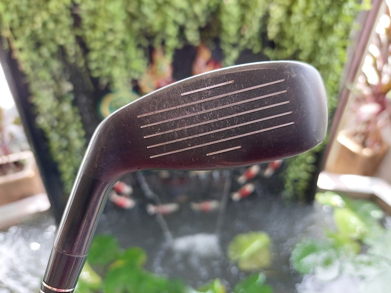 HYBRID ADAMS PRO