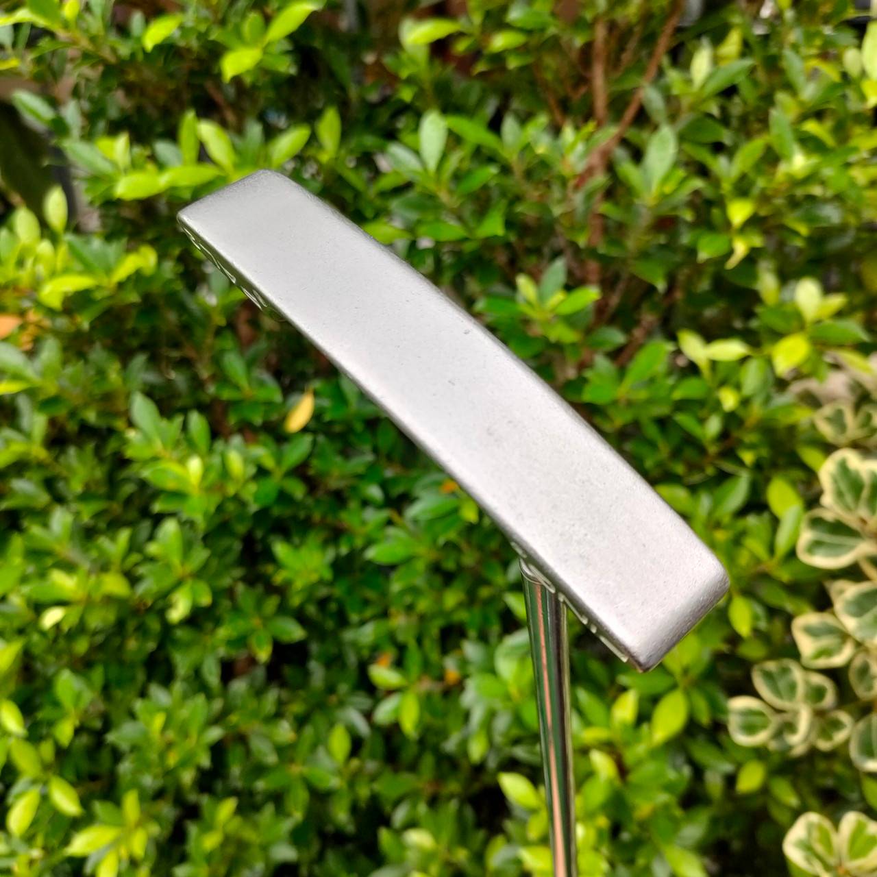 PUTTER PING PAL2 ความยาว 34 นิ้ว พัตเตอร์สุดคลาสสิค พัตต์ดีมากๆครับ