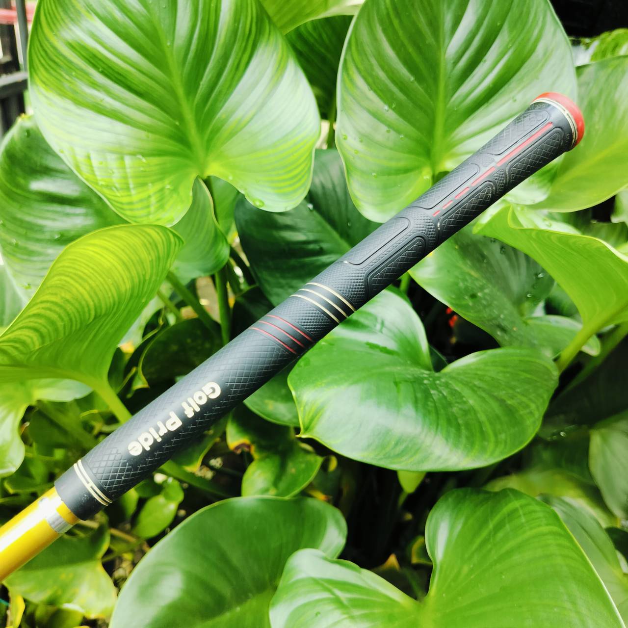 Driver SWORD SNIPER G ก้าน TOUR AD FLEX SR เป็นไม้สุดยอดหน้าเด้งพรีเมี่ยม ต้นตำหรับ ตีไกลมาก และรุ่นนี้ เป็นรุ่น G มีออฟเซ็ตเล็กน้อย ช่วยแก้ปัญหาสำหรับคนที่ตีเฟด ออกขวาให้กลับมาตีตรงได้ ไม้กอล์ฟพรีเมี่ยมมือสอง ของแท้ By NakaraLuxurious