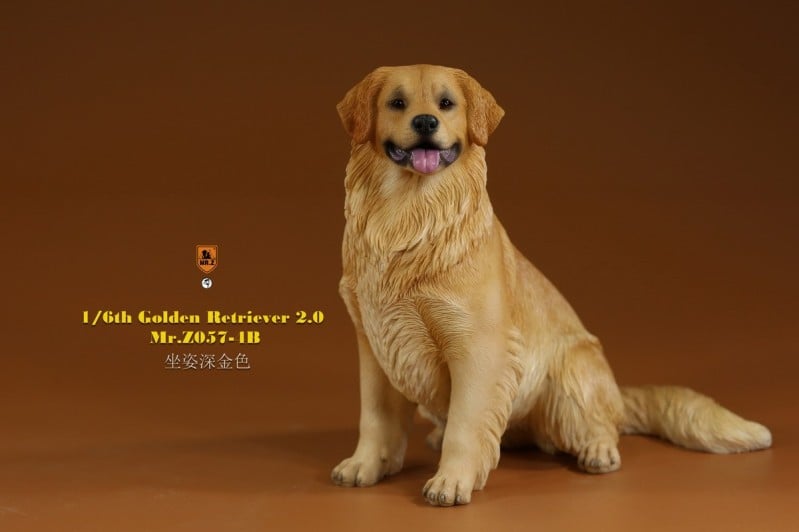 [สั่งจอง]Mr.Z MRZ057 1/6 : Golden Retriever 2.0