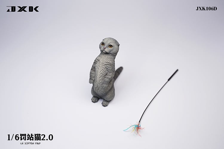 [สั่งจอง]JXK : Scottish Fold/Chckling/Duckling