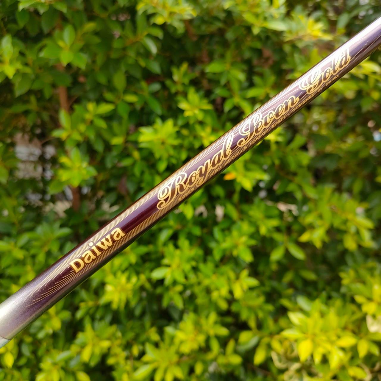 ชุดเหล็ก DAIWA DAIWA ROYAL LEVEN GOLD เป็นชุดพรีเมี่ยมสูงสุดของแบรนด์ DAIWA TI - FACE หน้าไทเทเนี่ยม หน้าเด้งแบบสุดขีด มีเหล็ก 6 - 9 เเละ PA SW ก้าน DAIWA ROYAL LEVEN GOLD FLEX R ไม้กอล์ฟมือสอง ของแท้ BY NakaraLuxurious