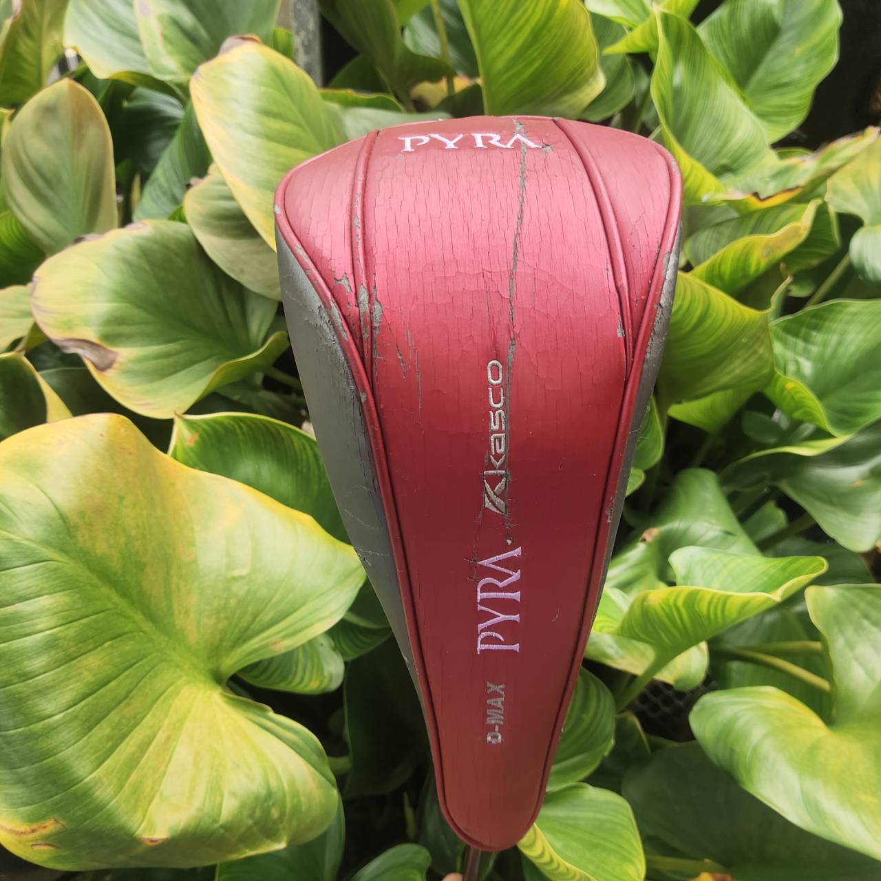 KASCO D-MAX PYRA LADY 11.5° Driver สำหรับคุณผู้หญิงที่อยากตีไกลขึ้นแบบ effortless!