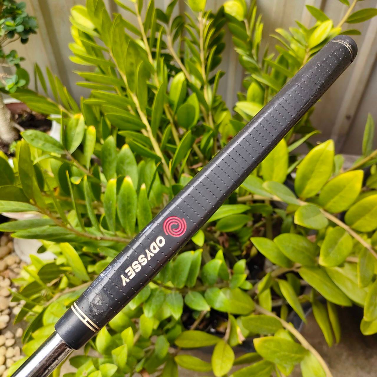 PUTTER ODYSSEY DUAL FORCE CLASSICS 660 ความยาว 34 นิ้ว รุ่นหน้าดำ ทั้งนุ่มและเกาะไลน์มากๆ พัตต์เล็ง ทรง STUDIO เล็งง่าย ของดีน่าใช้มาก ไม้กอล์ฟมือสอง ของแท้ BY NakaraLuxurious