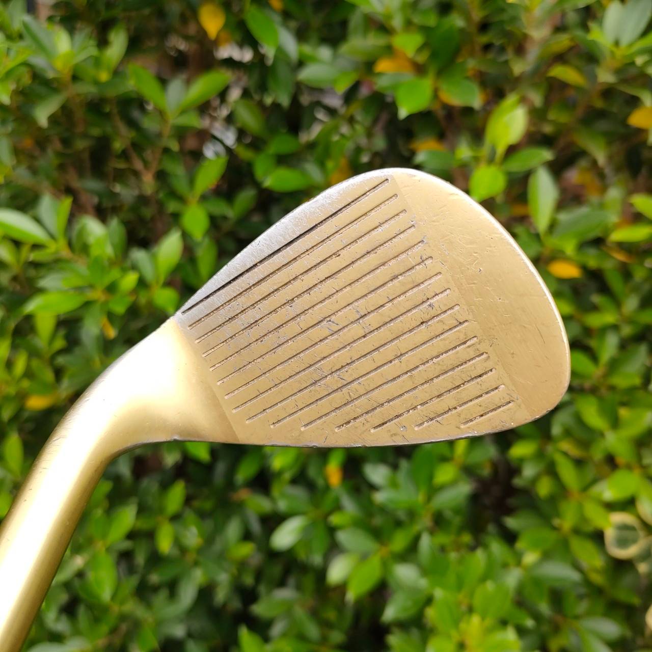 เหล็ก AW TSURUYA AXEL GOLD องศา 52 วัสดุสุดพรีเมี่ยม สีทองทั้งหัว ชิพนุ่ม ชิพง่าย ความรู้สึกพรีเมี่ยม