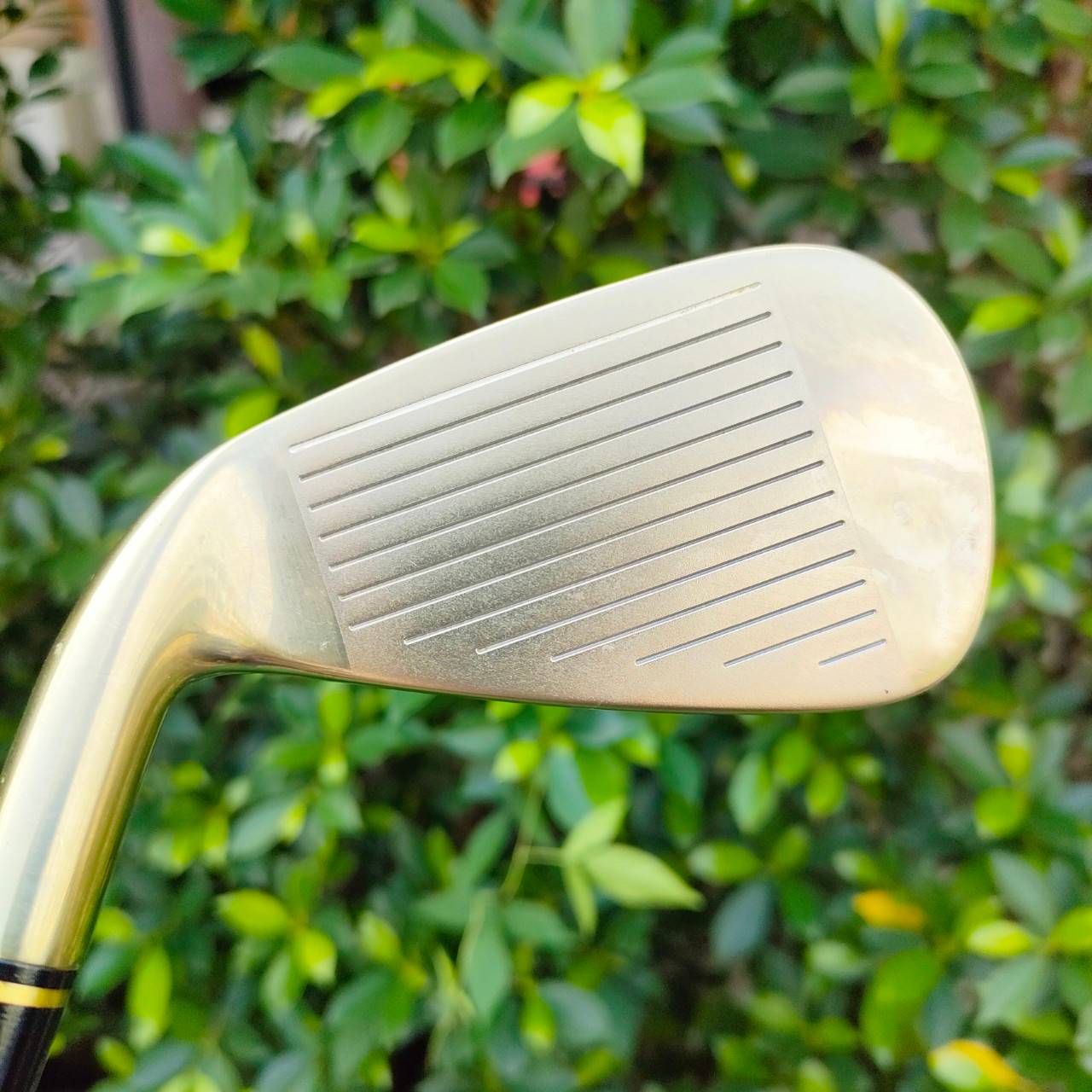 ชุดเหล็ก KASCO LELOS J ชุดเหล็กหน้าเด้งแบบมากๆ สีทองสวยหรูสุดพรีเมี่ยม จากประเทศญี่ปุ่น ทั้งหมด 8 ชิ้น