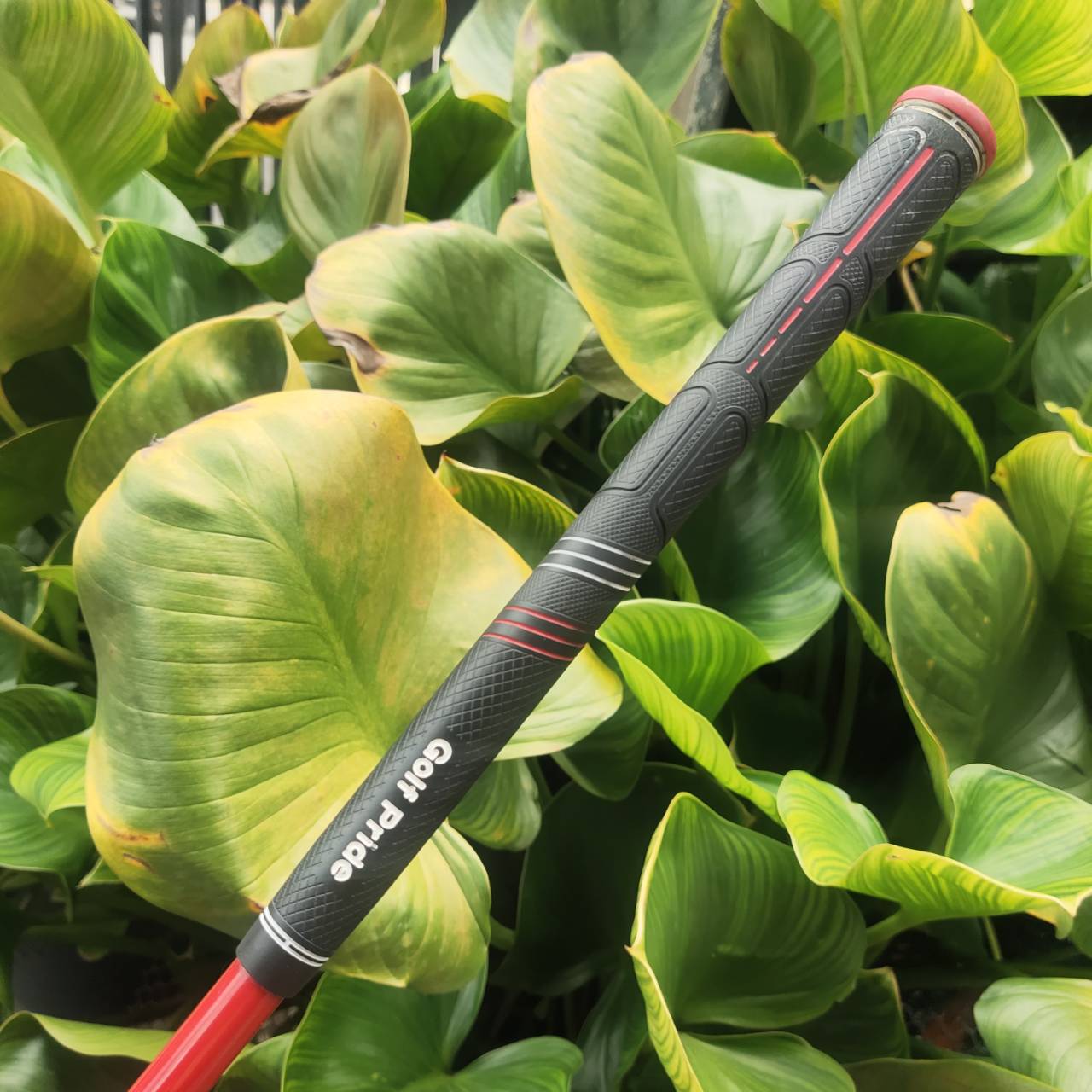 Driver Cleveland Ti460 มือสอง – เสียงแน่น ไกล คุ้มราคา!! สำหรับสายตีตรง ไกล ไม่ต้องจ่ายแพง