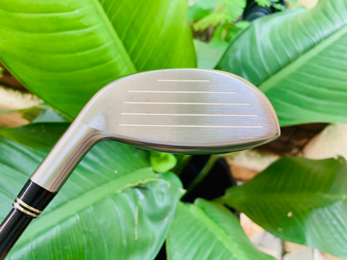 HYBRID 4 COBRA S2 MAX