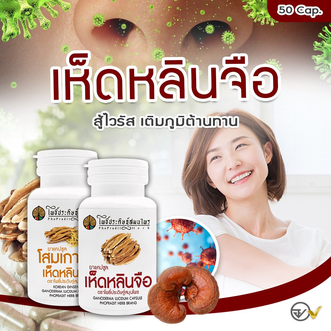 ยาแคปซูล เห็ดหลินจือ (บำรุุงร่างกาย-เสริมภูมิคุ้มกัน) ตราโพธิ์ประดิษฐ์สมุนไพร 50 แคปซูล