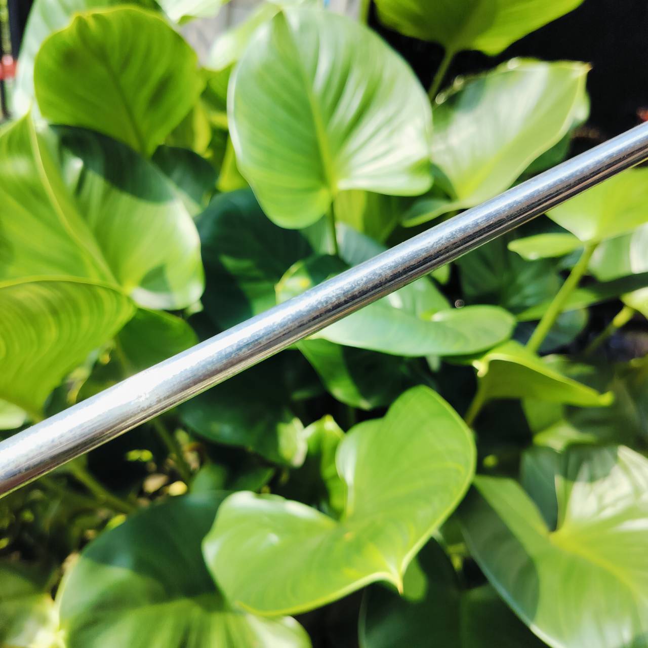 🔥🔥ลดล้างสต๊อค🔥🔥 Putter Truth of Value ความยาว 34 นิ้ว สภาพสวย กริพยังไม่แกะ หน้า MILLED ช่วยให้การพัตต์ เนียนยิ่งขึ้น ลูกวิ่งเกาะไลน์ ฟอลโลทรู ได้ดีมาก น้ำหนักดี ไม้กอล์ฟพรีเมี่ยมมือสอง ของแท้ NakaraLuxurious