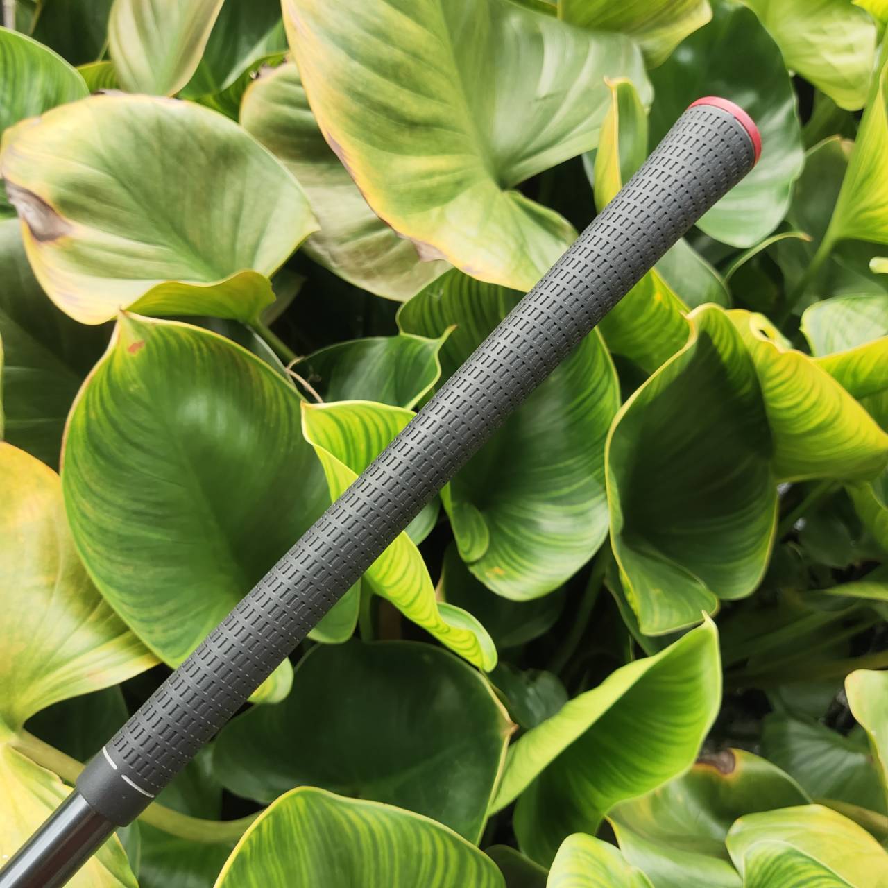 Driver Taylormade M1 ผสมผสาน Titanium และ Carbon Fiber เพื่อเพิ่มความเร็วและลดน้ำหนัก