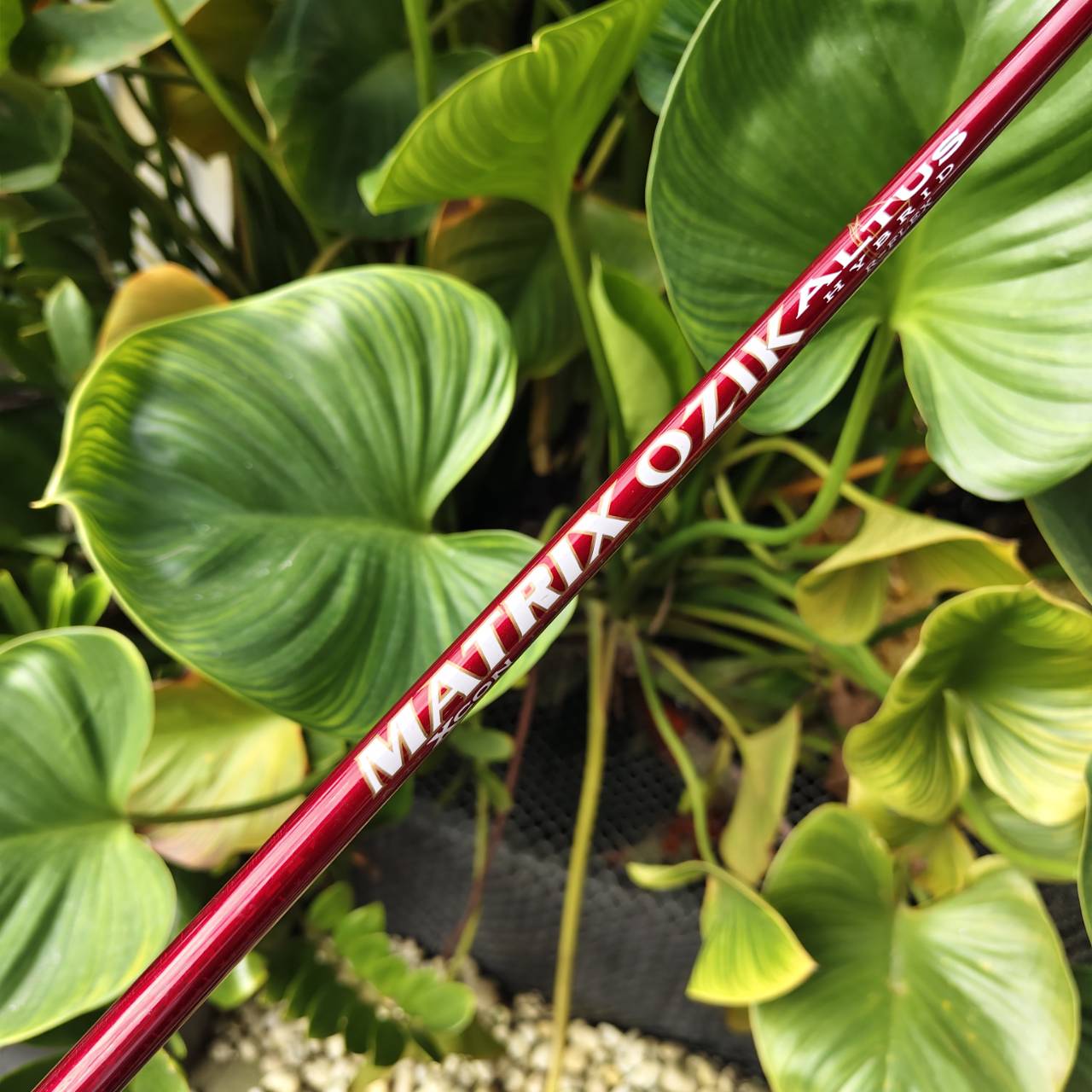 HYBRID TITLEIST H1 816 – องศา 21° “ตีง่าย เข้าลูกเนียน ควบคุมทิศดีมาก”