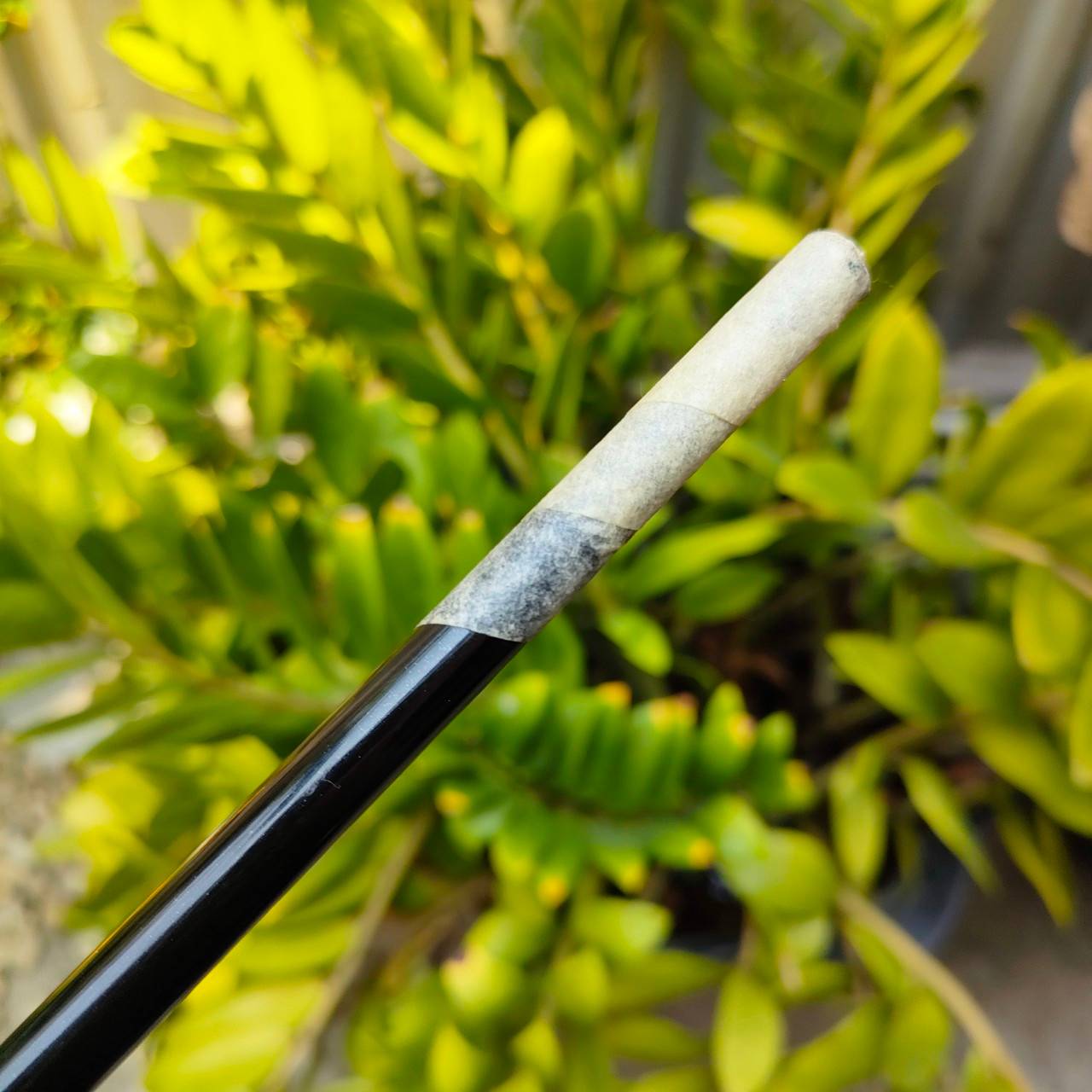 ก้านใส่ DRIVER FUJIKURA SPEEDER 462 EVOLUTION FLEX R ความยาวเฉพาะก้าน 45 นิ้ว ก้านสุดยอดพรีเมี่ยมญี่ปุ่น เบาเพียง 40 กรัม ตีตรง ตีไกลขึ้นอย่างแน่นอน ของใหม่แพงมากๆ ไม้กอล์ฟพรีเมี่ยมมือสอง ของแท้ By NakaraLuxurious