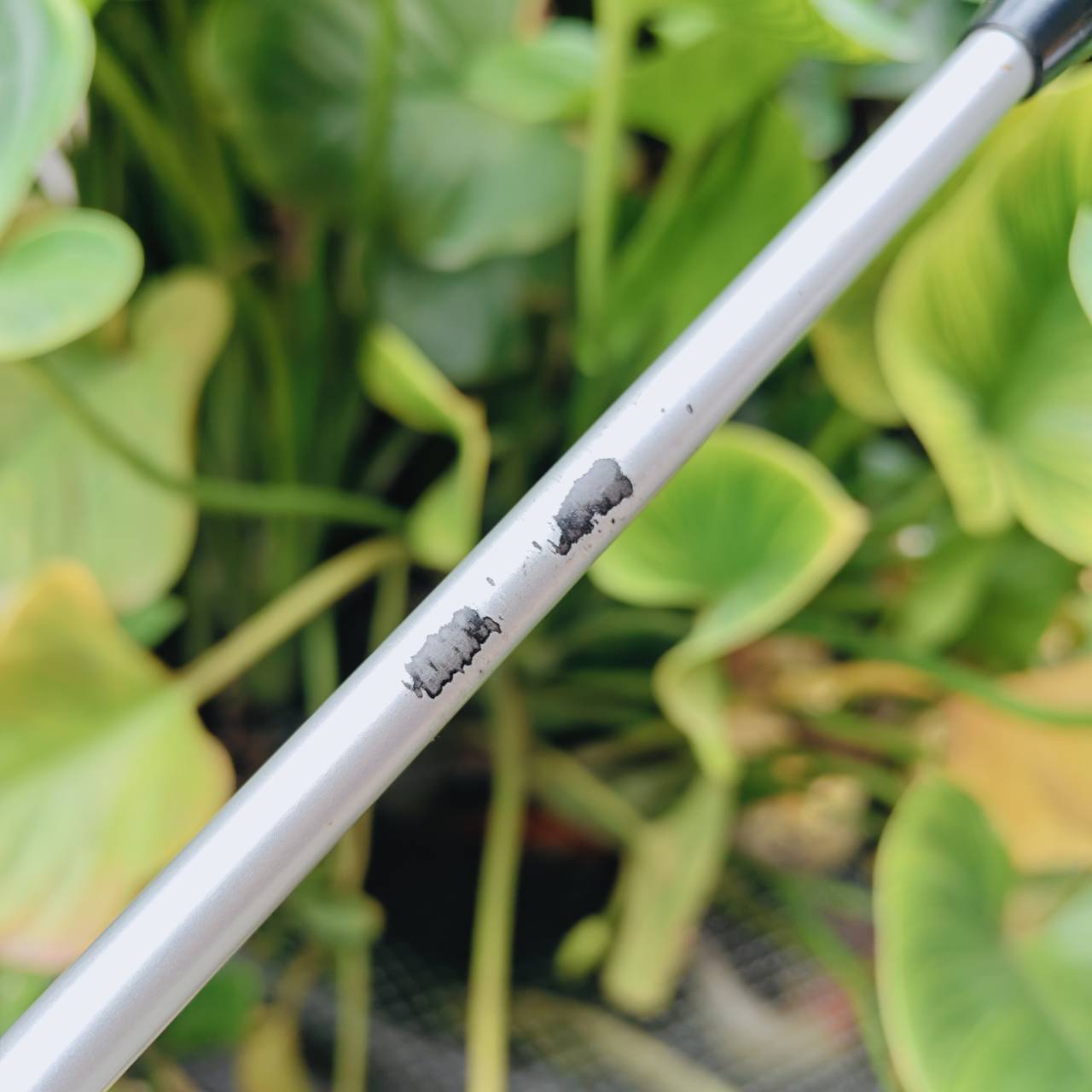 5W COBRA S2 OFFSET การออกแบบ "Offset" ที่ช่วยลดการสไลด์ ให้กลับมาตีตรงในทันที