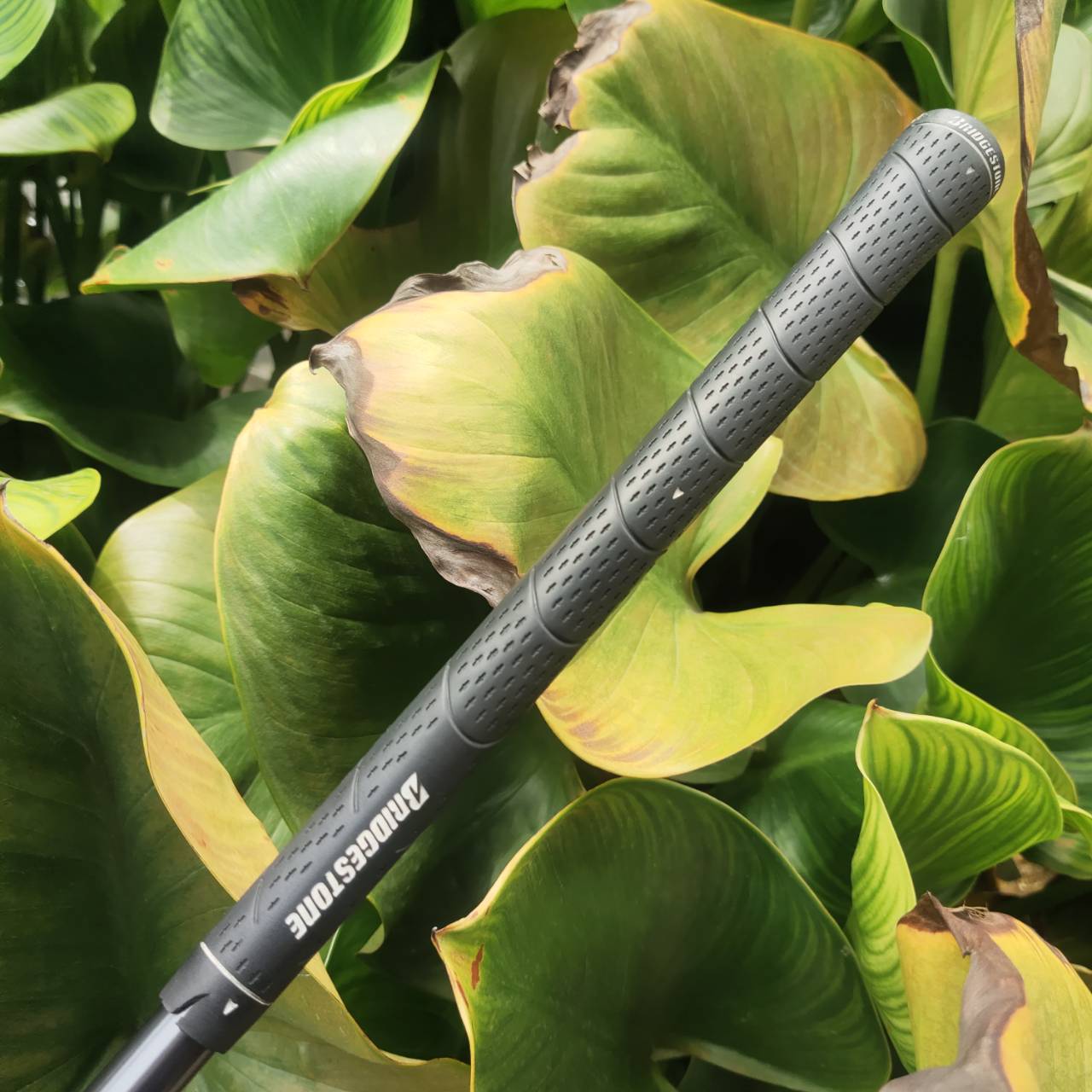 ไม้กอล์ฟครบชุด BRIDGESTONE REYGRANDE SUPER VER. 8.1 มาตรฐานญี่ปุ่น พร้อมลุย