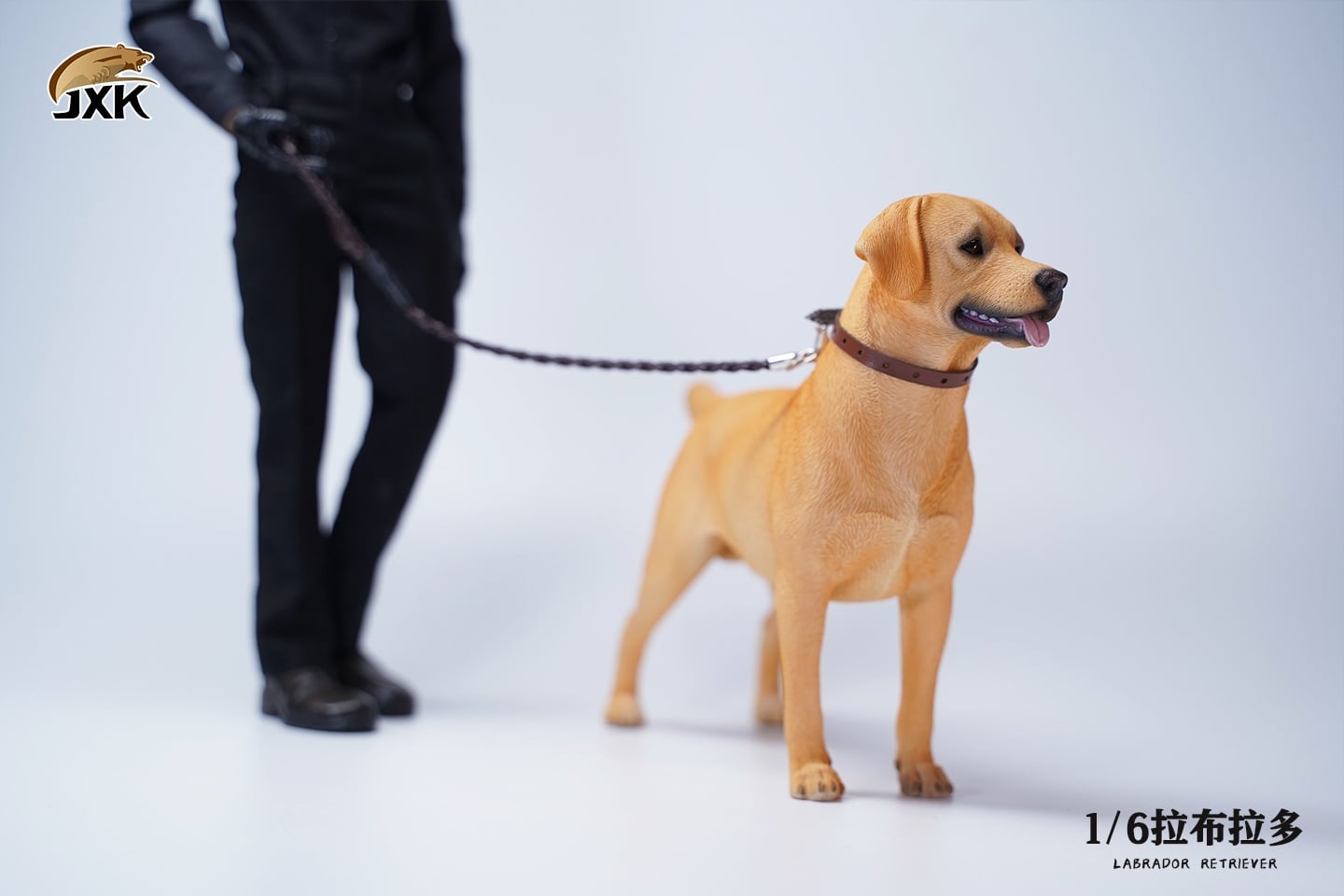 [สั่งจอง]JXK JXK089 1/6 : Labrador