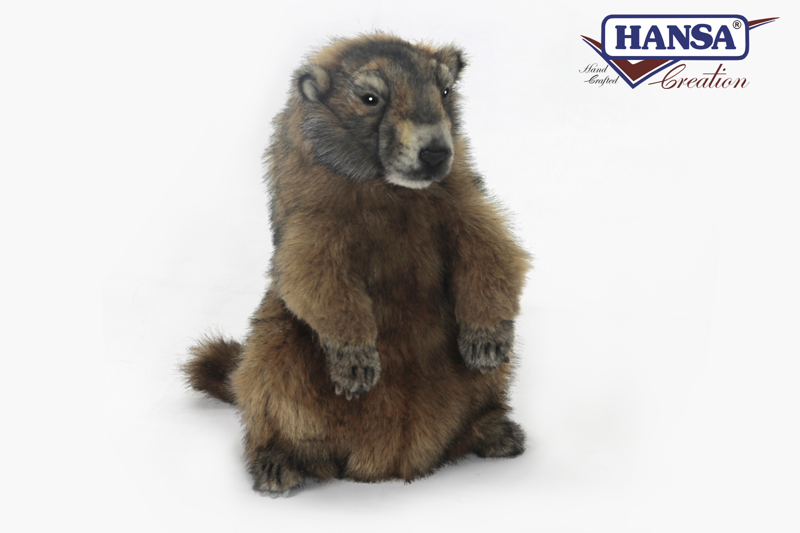 6749 Marmot 34cm.H