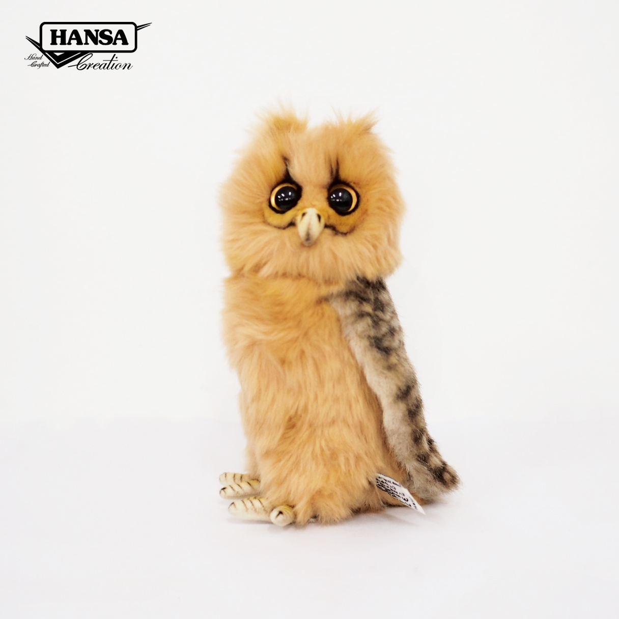 7931 Philippine Eagle Owl 22cm.H