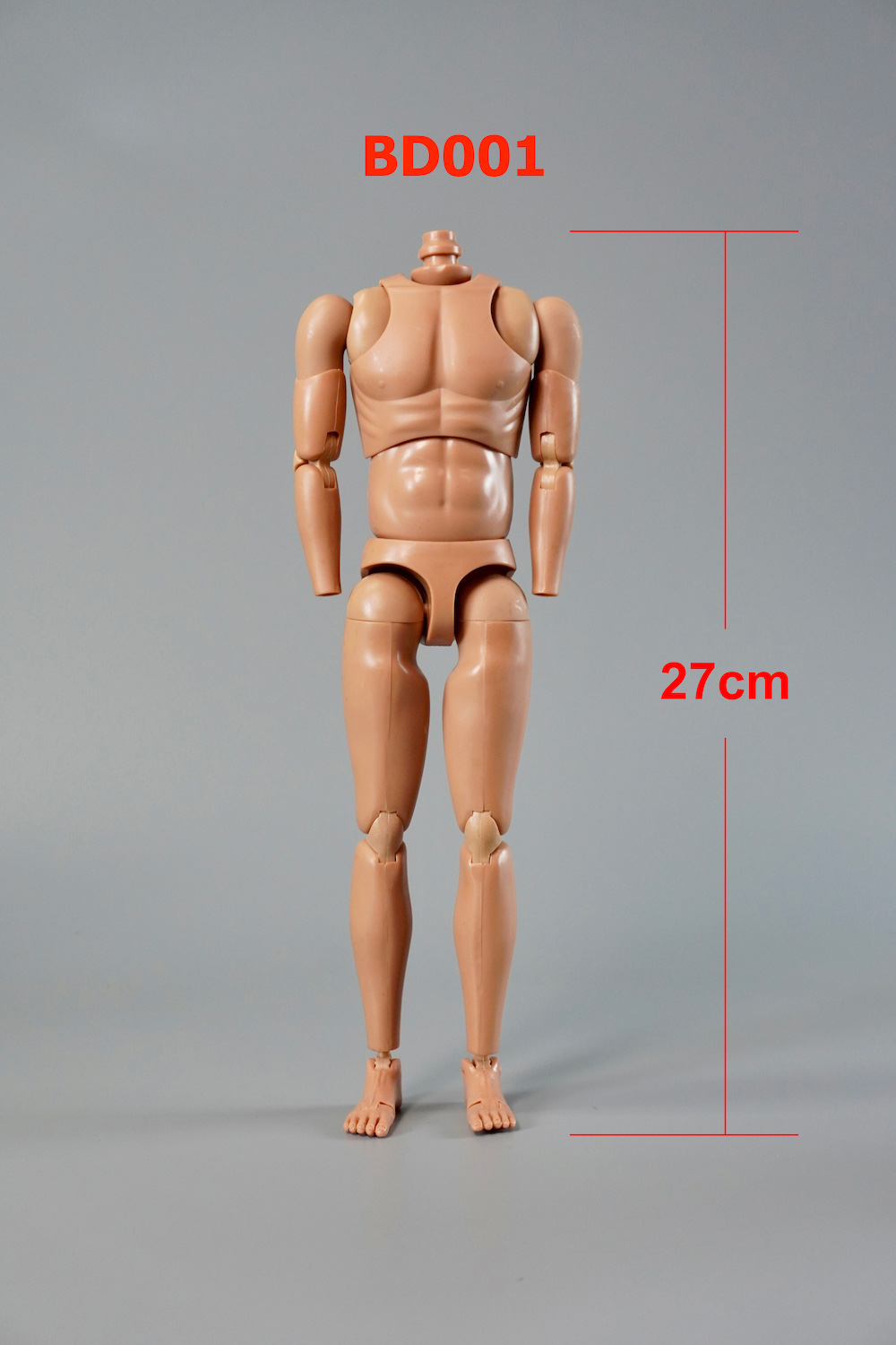 [สั่งจอง] DID 1/6 : Male Body