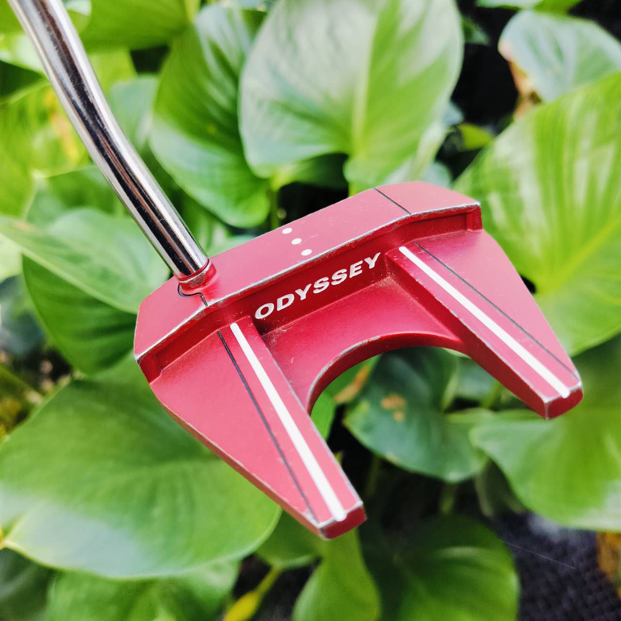 PUTTER ODYSSEY O WORKS #7 ความยาว 34 นิ้ว มี COVER เดิม ที่สุดของแจ้!!! เบอร์ 7 กำลังฮิตที่สุด ด้วยรูปทรงที่ทำให้บล๊านซ์มาก ไม้กอล์ฟพรีเมี่ยมมือสอง ของแท้ By NakaraLuxurious