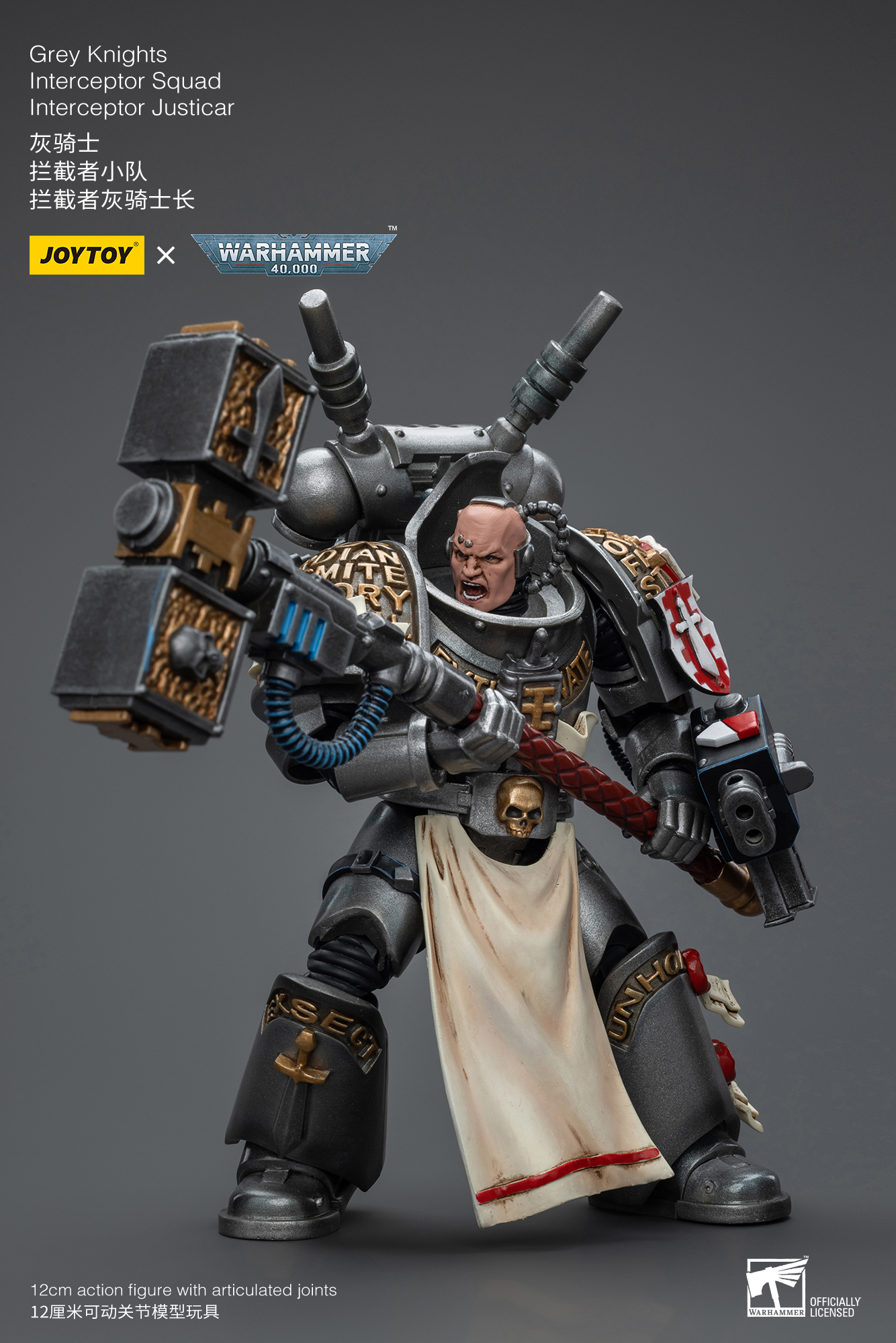 [สั่งจอง] JOYTOY Warhammer 40K 1/18 : Grey Knights