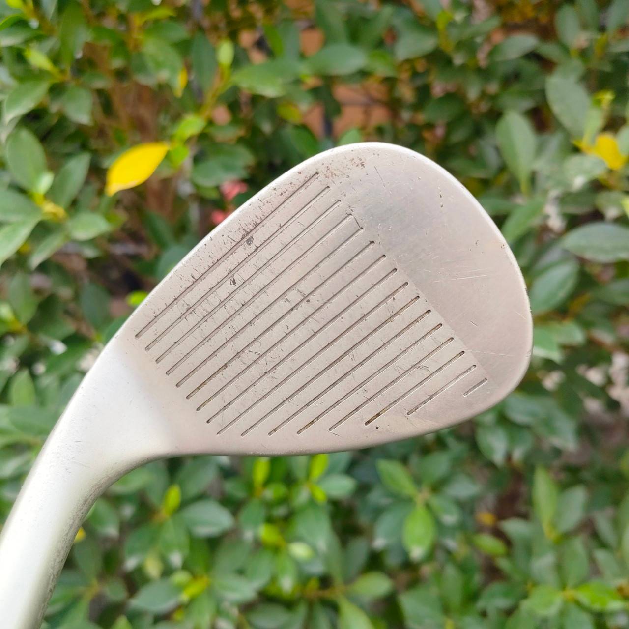 WEDGE TITLELIST VOKEY DESIGN BV 256.10 องศา 56 ก้าน DYNAMIC GOLD FLEX WEDGE