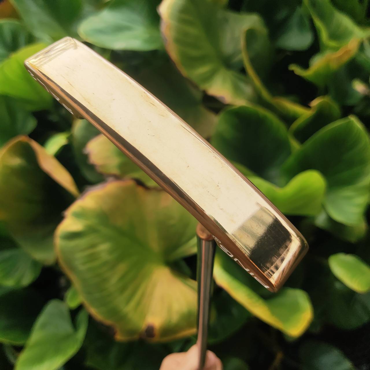 PUTTER PING PAL2 – ทองแดงแท้ BECU (Beryllium Copper)