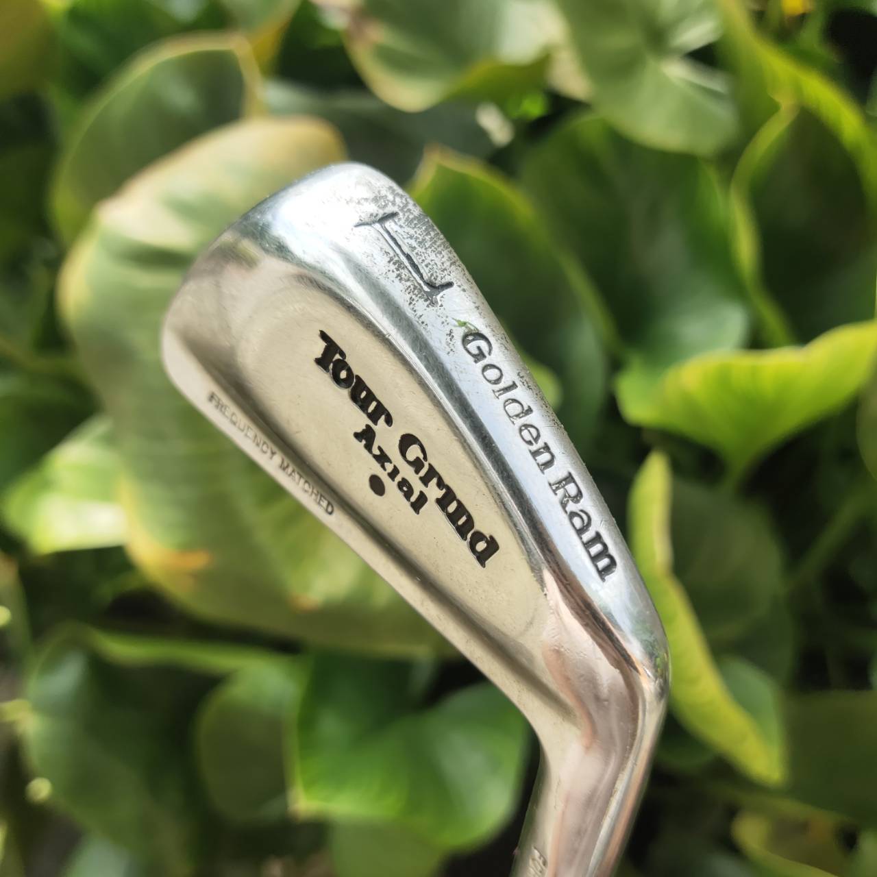 เหล็ก 1 GOLDEN RAM TOUR GRIND AXIAL แบรนด์อเมริกันที่มีประวัติยาวนาน Forged แบบ “Tour Grind Axial”