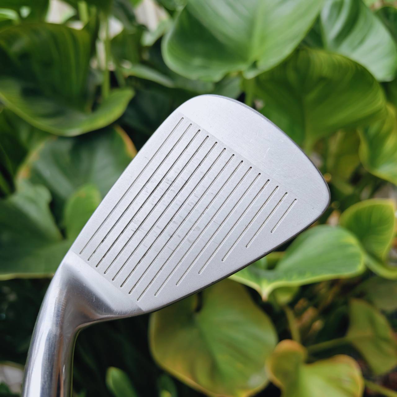 ชุดเหล็ก HENRY-GRIFFITTS HS-1 – หน้าเด้ง ตีง่าย ให้อภัยสูง! จากผู้บุกเบิกวงการ Custom Fitting