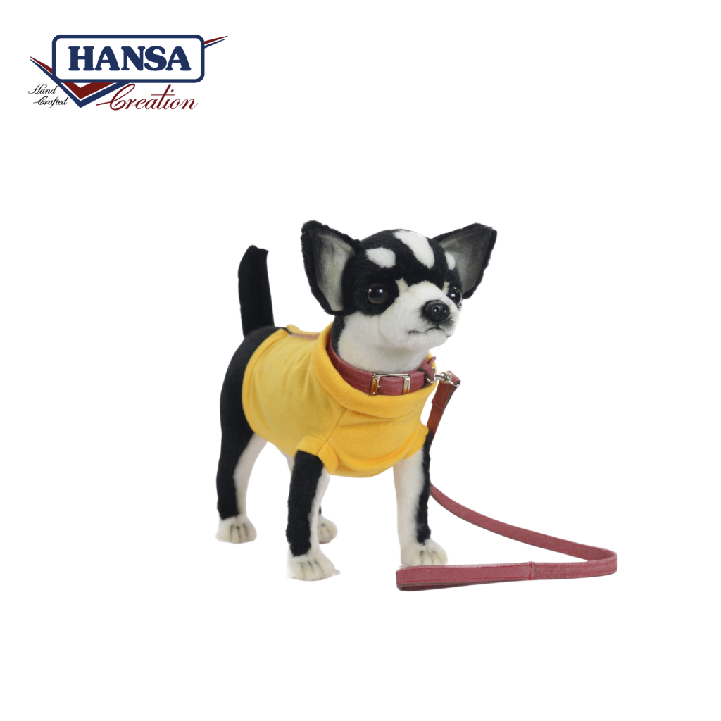 6384 Chihuahua 27cm.L (Black) with T-Shirt