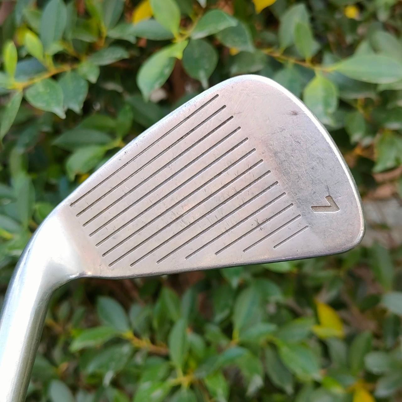 ชุดเหล็ก TOUR TOP-FLITE มีเหล็ก 3-9 เเละ PW SW ก้าน TOP FLITE-R ก้านกราไฟต์ เบาตีง่าย