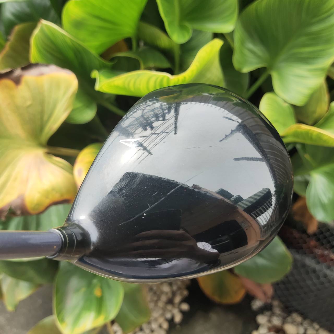 *ไม้กอล์ฟผู้หญิง* XXIO Impact Power Body พลังเต็มสวิงสำหรับนักกอล์ฟที่รักความง่ายและระยะไกล