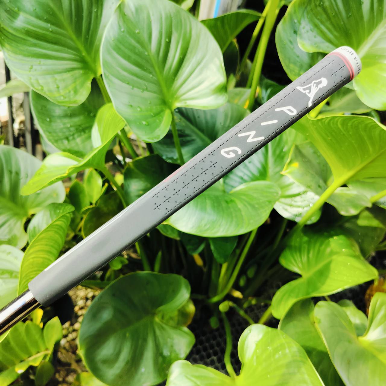 PUTTER PING TYNE 4 ความยาว 34 นิ้ว COVER แท้เดิม รุ่นแบบปีกสองข้างที่นิยมสูงสุด ขอบอกว่าของ PING เป็นเลิศ ไม่แพ้แบรนด์ไหน นิ่งมากๆ และหน้าสัมผัส แบบสองชั้น DUAL - DUROMETER INSERT แบบแข็งอยู่ด้านใน และ แบบนุ่มอยู่ด้านนอก สุดจริง!!! ไม้กอล์ฟพรีเมี่ยมมือสอง