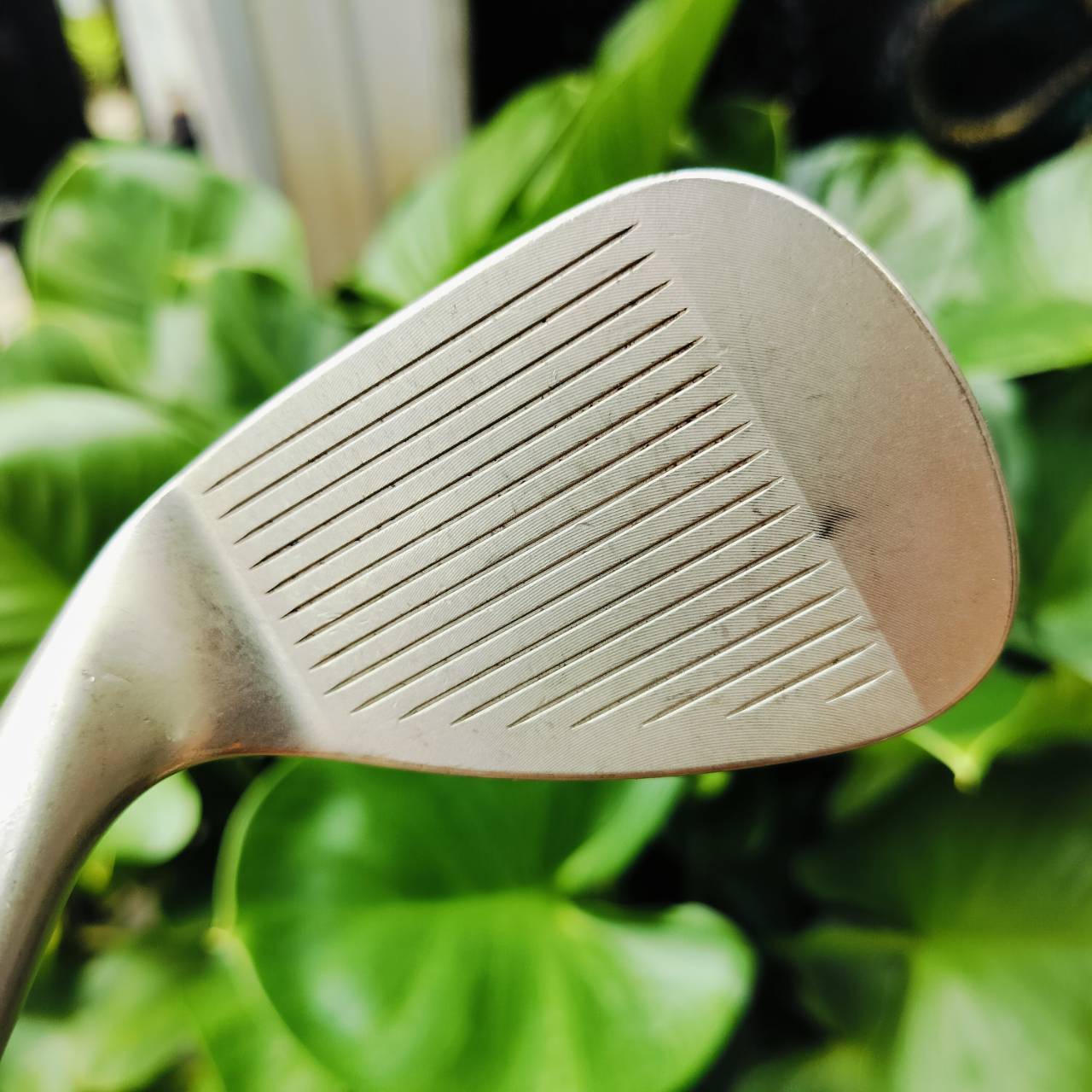 WEDGE TITLEIST VOKEY DESIGN SM5 F GRIND องศา 50 BOUNCE 12 สภาพสวย ก้าน SM5 VOKEY DESIGN FLEX WEDGE ต้นตำหรับสปินสุดโหด ไม้กอล์ฟพรีเมี่ยมมือสอง ของแท้ By NakaraLuxurious