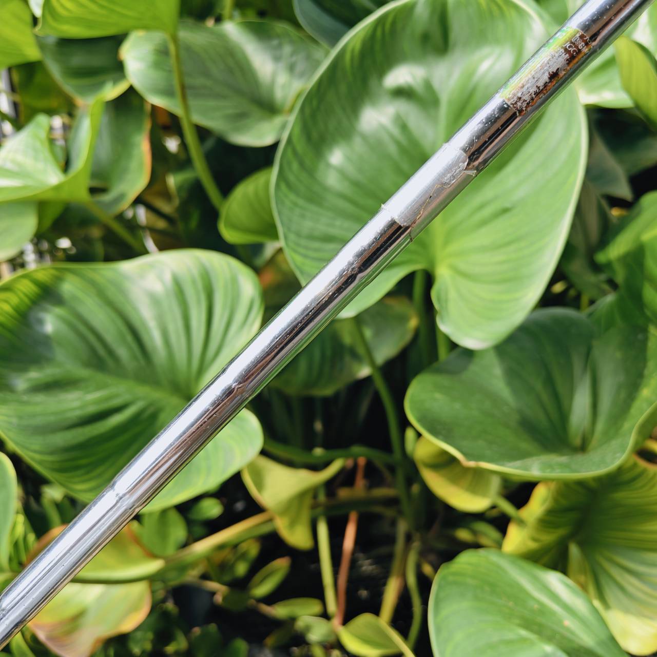 ตกหยุด สั่งได้! เวดจ์ฉลาม Callaway JAWS 52 BOUNCE 10