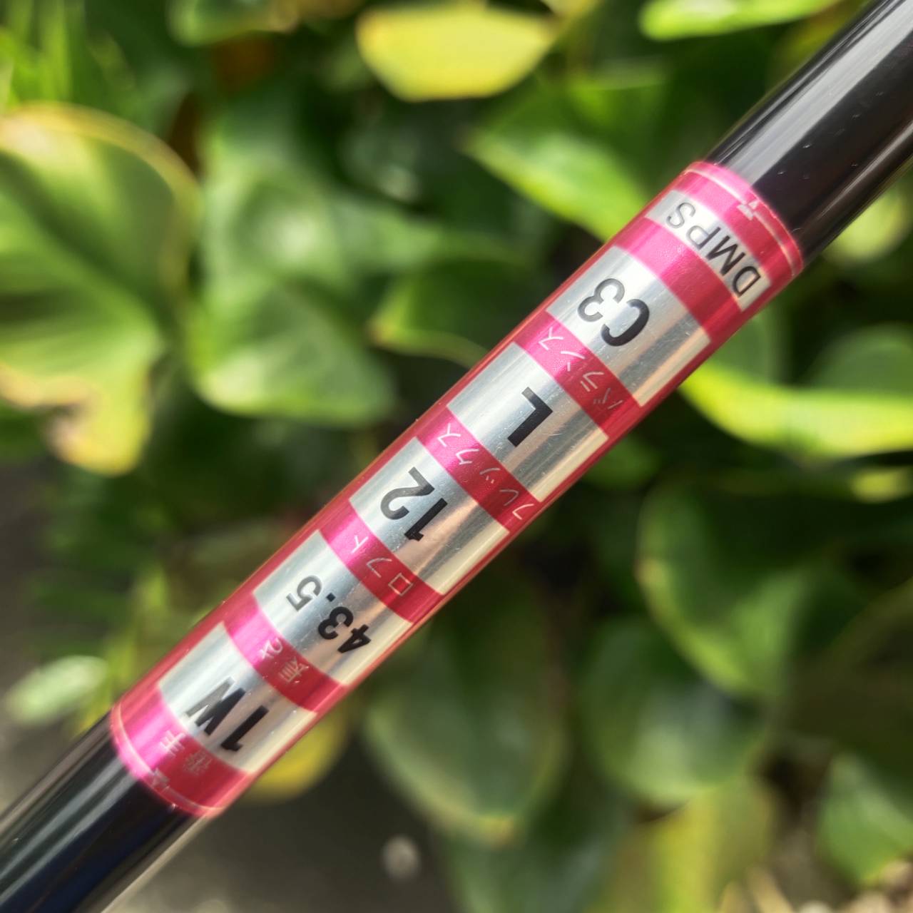 Driver KASCO DIMPALS LADY หน้าไม้กว้าง จุดสวีทสปอตใหญ่ ดีไซน์สวยงาม พรีเมียม ตามสไตล์ญี่ปุ่น