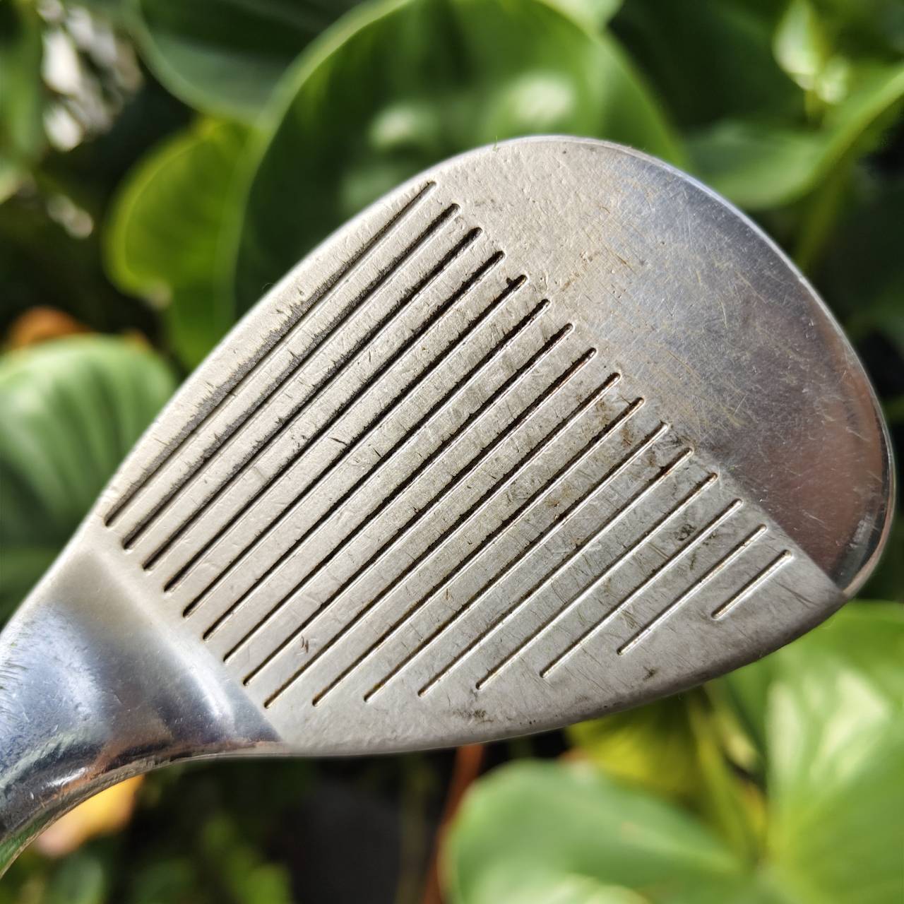 WEDGE TITLEIST VOKEY DESIGN – 56° / Bounce 12 สุดยอด WEDGE ระดับ MASTER