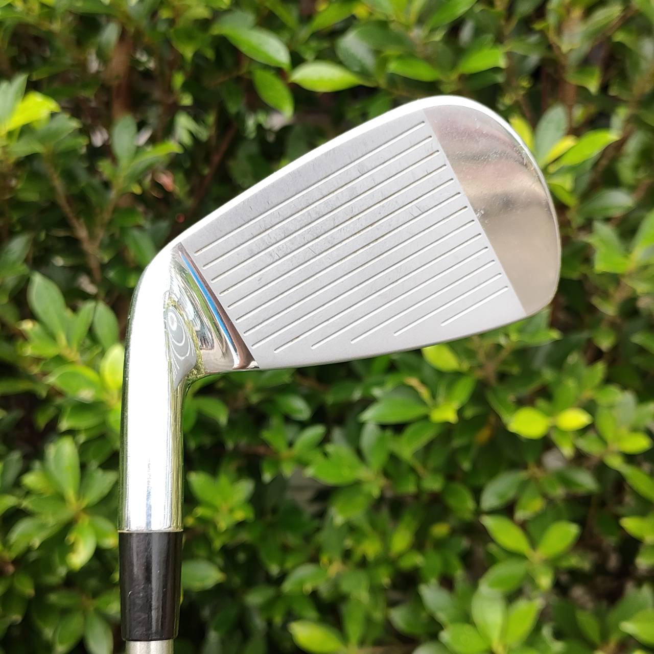 ชุดเหล็ก ROYAL COLLECTION FD FORGED มีเหล็ก 4 - 9 PW ได้ถึง 8 ชิ้น สภาพสวยมากๆ ก้าน RCI60 FLEX R เป็นก้านพรีเมี่ยมสุดๆตีดีมาก เป็นชุดเหล็กสุดยอดพรีเมี่ยมจากญี่ปุ่น