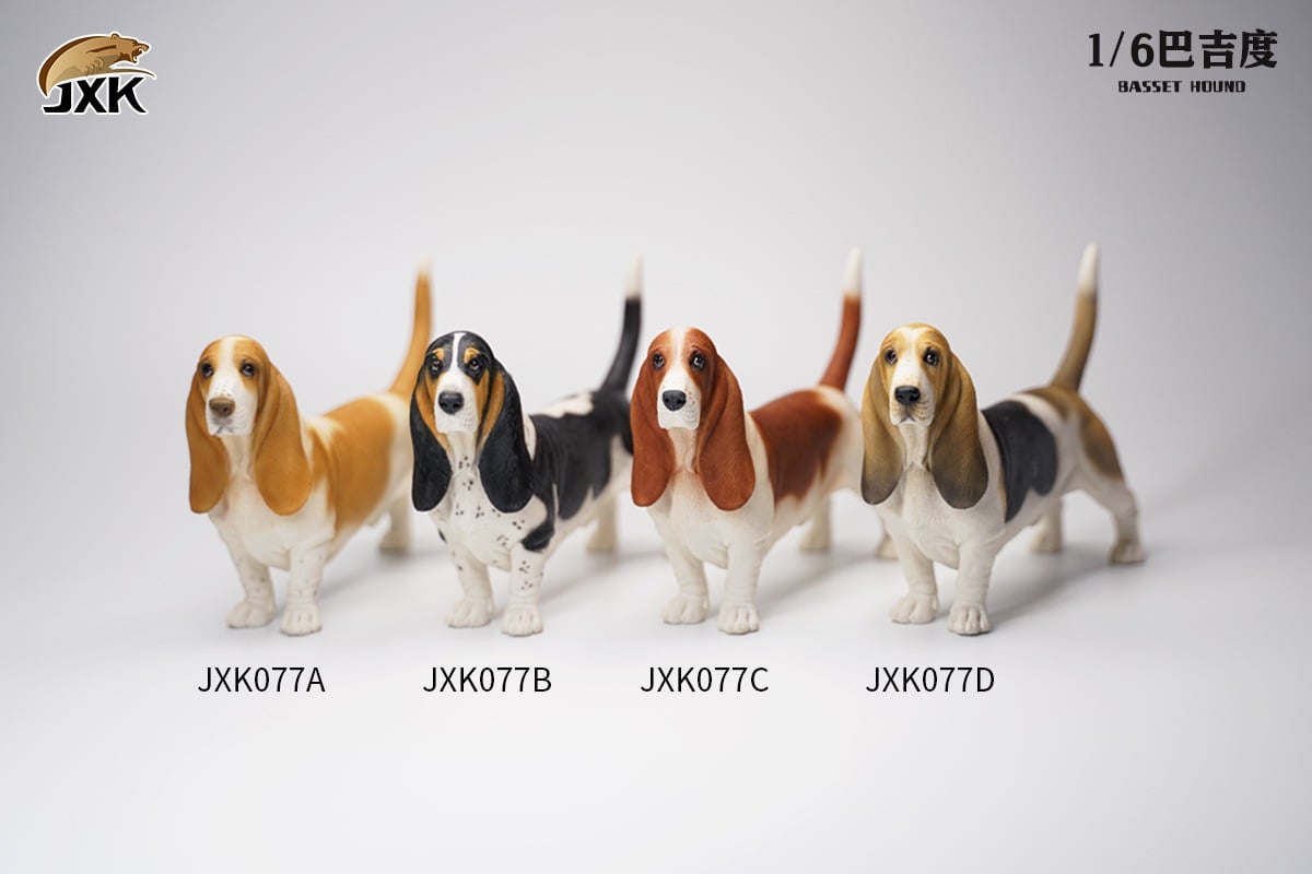 [สั่งจอง]JXK JXK077 1/6 : Basset Hound