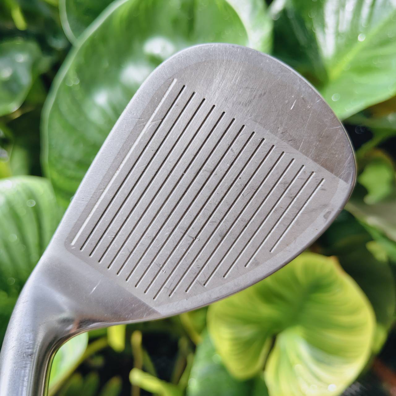 XXIO IMPACT POWER BODY – Distance Redefined ชุดเหล็กหน้าเด้ง Titanium Face