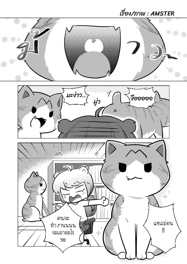 นักวาดการ์ตูนของแมว 2024