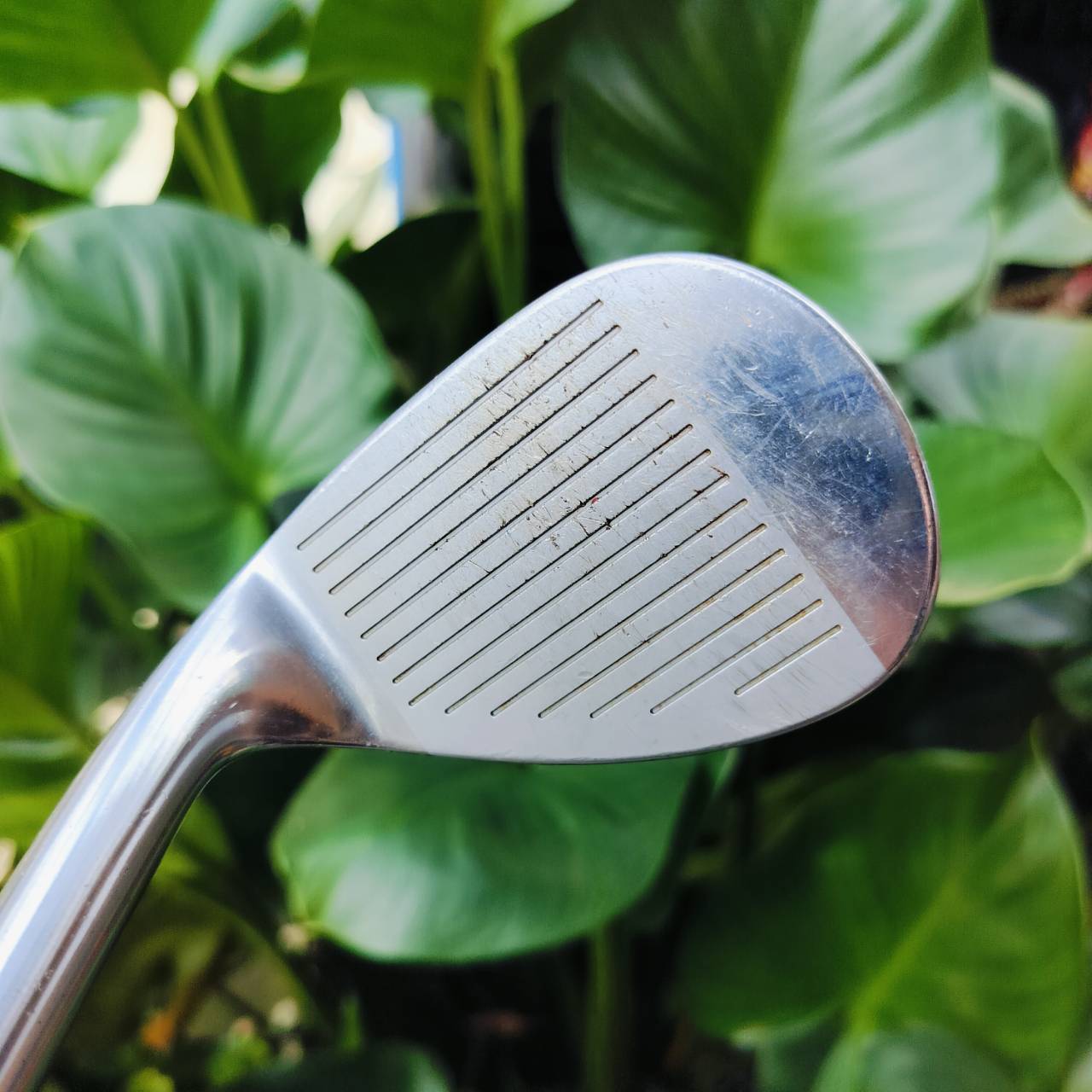 WEDGE MIZUNO MP SERIES องศา 60 BOUNCE 9 ก้าน DYNAMIC GOLD WEDGE FLEX วัสดุ GRAIN FLOW FORGED นุ่มจัด ให้สปินดีมาก เข้าบอลแน่น แม่นยำมาก ไม้กอล์ฟพรีเมี่ยมมือสอง ของแท้ By NakaraLuxurious
