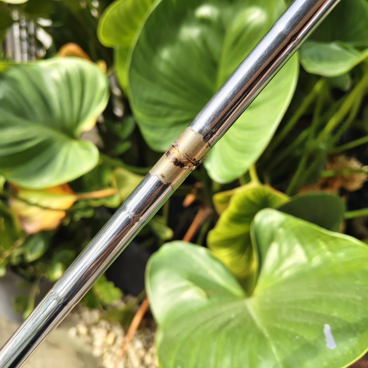 WEDGE TITLEIST VOKEY DESIGN – 56° / Bounce 12 สุดยอด WEDGE ระดับ MASTER