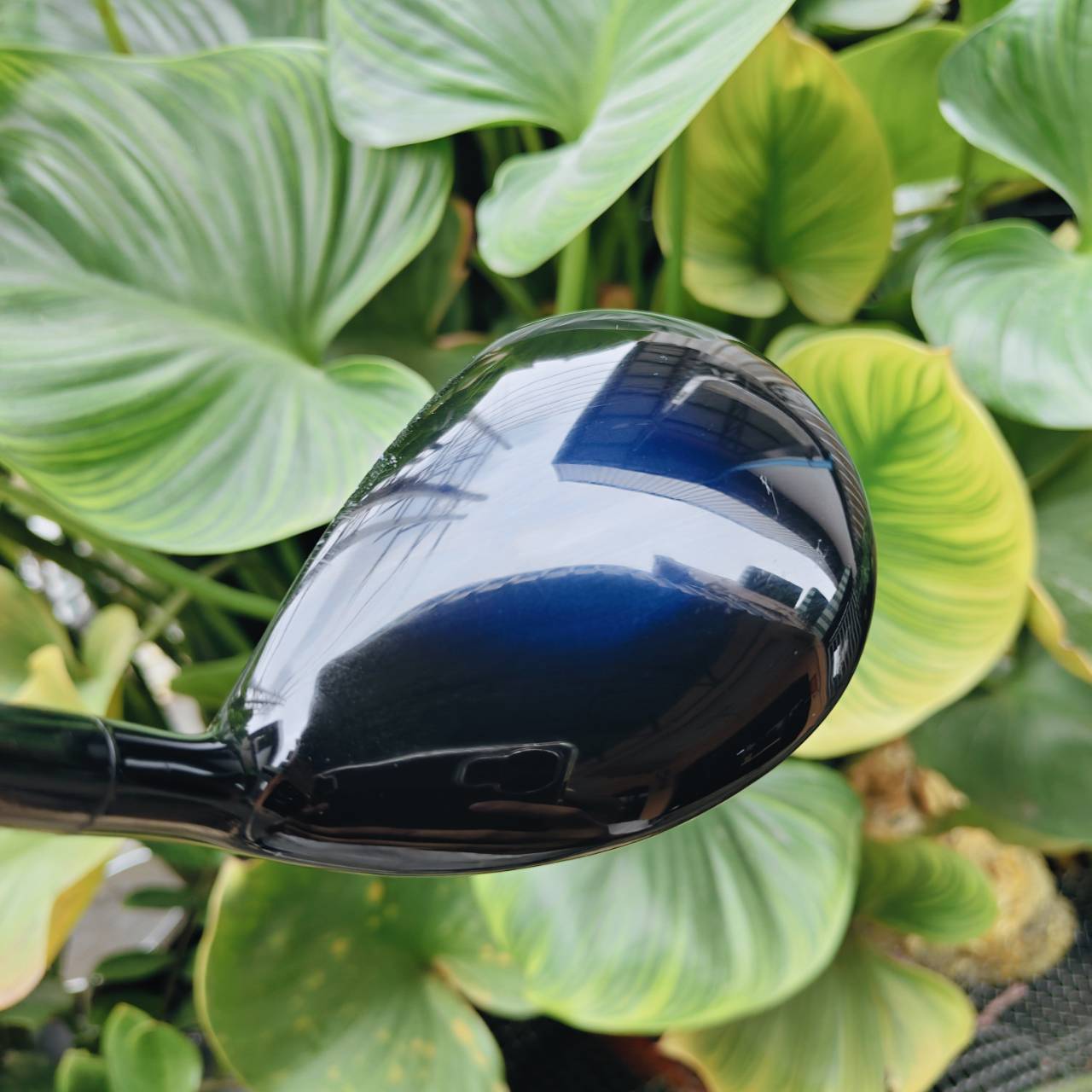 SWORD TM-550 Fairway Wood (3W) พลังและความนุ่มที่มาพร้อมดีไซน์ระดับพรีเมียมจากญี่ปุ่น