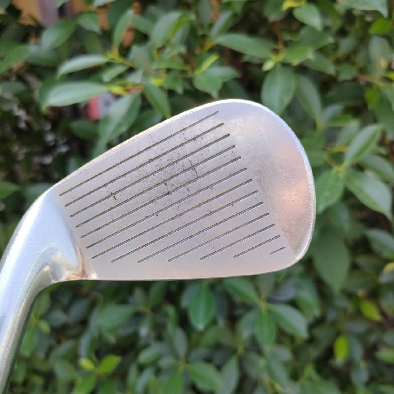 ชุดเหล็ก MIZUNO PRO.SPEC มีเหล็ก 5-9 เเละ PW ก้าน MIZUNO PRODUCED