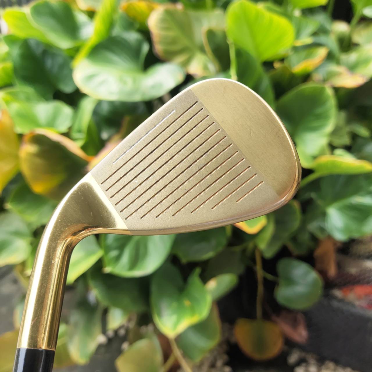 Katana Voltio IV G Series II ราคาของใหม่เกือบแสน!!! ตีไกลที่สุด หรูหรา ซุปเปอร์พรีเมี่ยมญี่ปุ่น