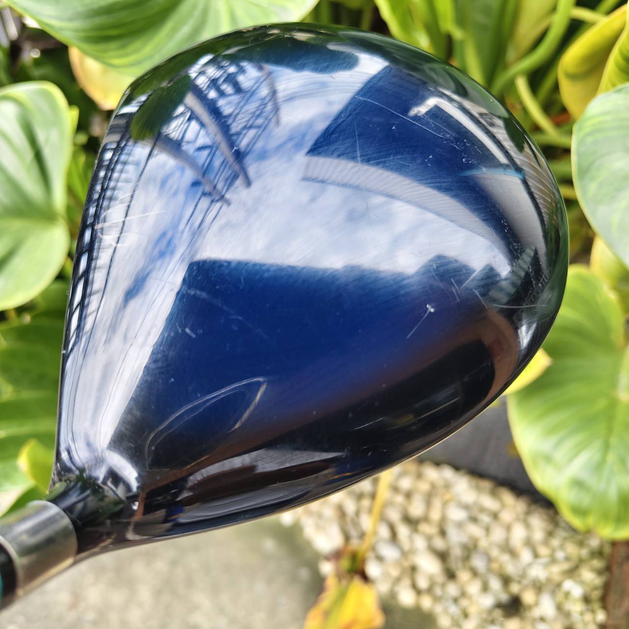 Driver ตัวช่วยตีง่าย! KASCO D-MAX AR รุ่นเหลี่ยมเพชร – เป็นตัวพรีเมี่ยมสูงสุดของ KASCO JAPAN