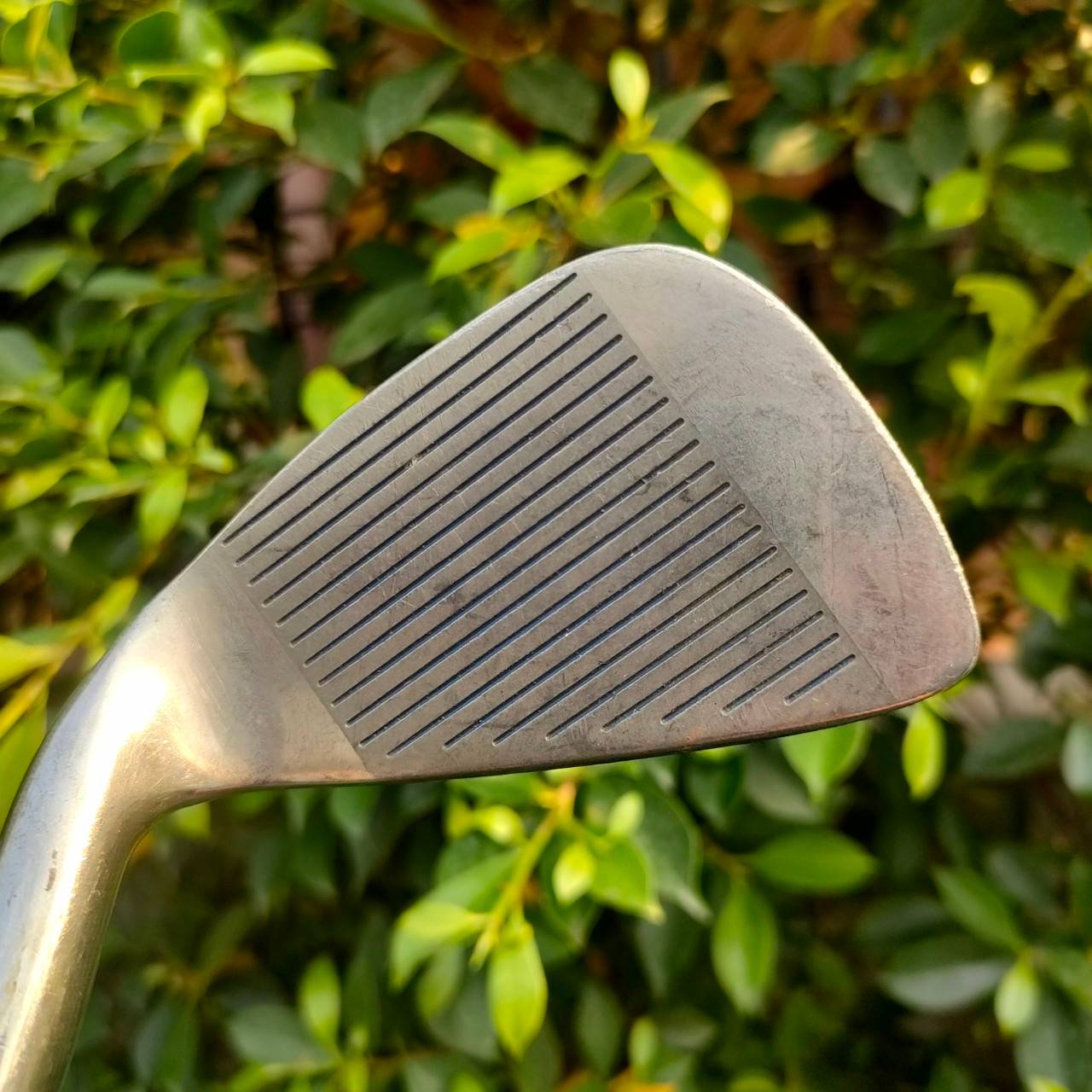 ชุดเหล็ก LYNX SEVILLE มีเหล็ก 3-9 เเละ SW ก้าน LYNX เหล็กคมสุดมันส์ พัฒนาขั้นสุดครับ