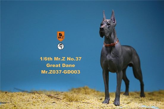 [สั่งจอง]Mr. Z Animal Model No.37: 1/6th The German Great Dane(all 6 colors)