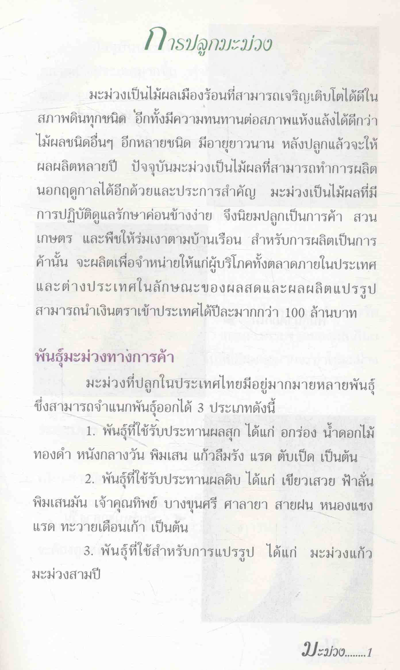 การปลูกมะม่วง